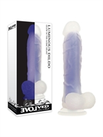 5. Boutique érotique, Dildo lumineux par Evolved