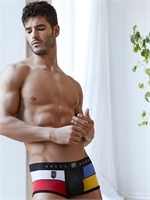 3. Boutique érotique, Boxer Colors de Gregg