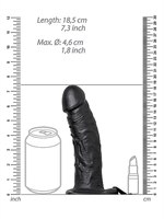5. Boutique érotique, Harnais Hollow Strap-On par RealRock
