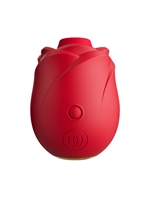 2. Boutique érotique, Rose par Womanizer