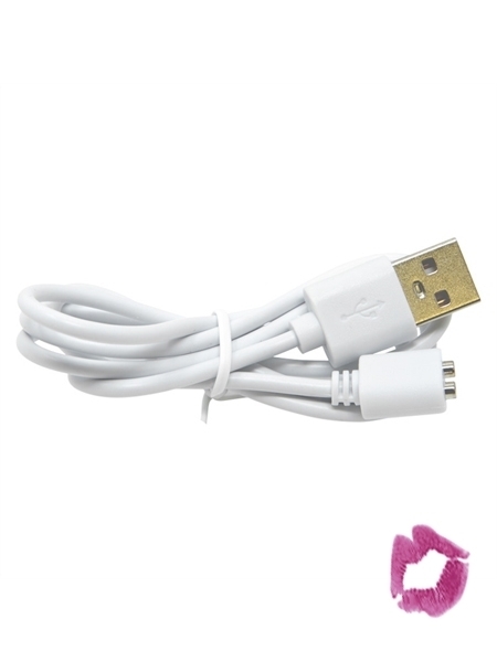 1. Boutique érotique, Câble USB de rechange